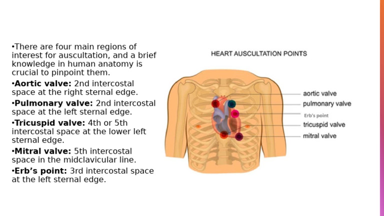 Heart Auscultation | PDF