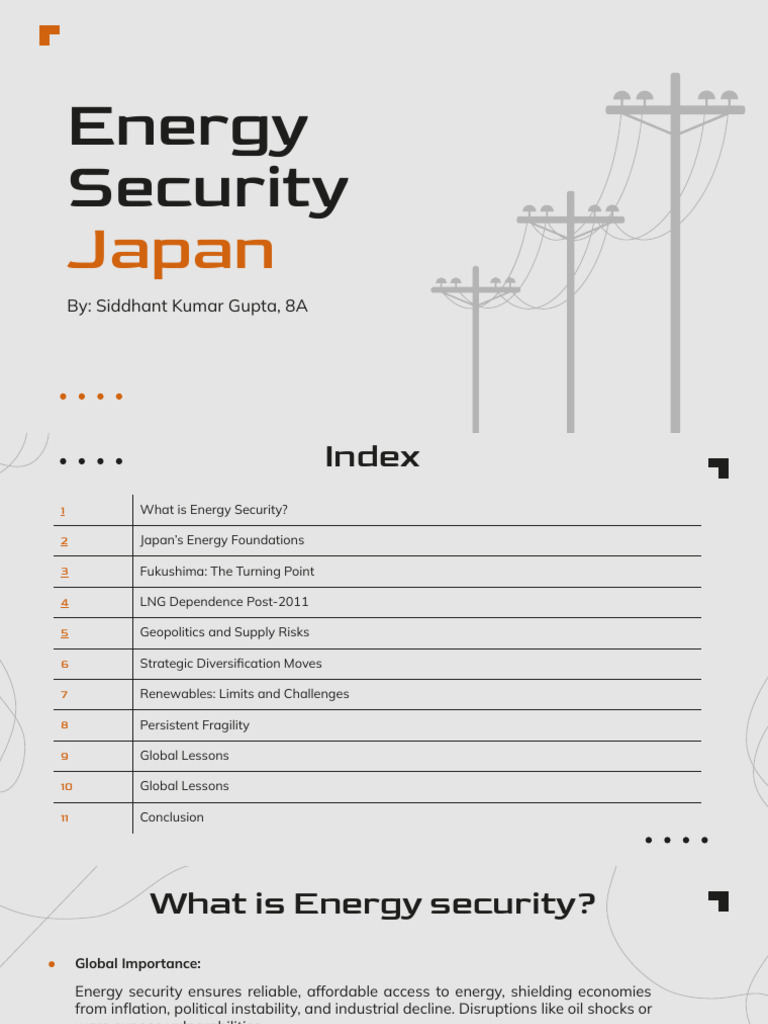 Japan's Energy Security Challenges Explained | PDF | Energy Security ...