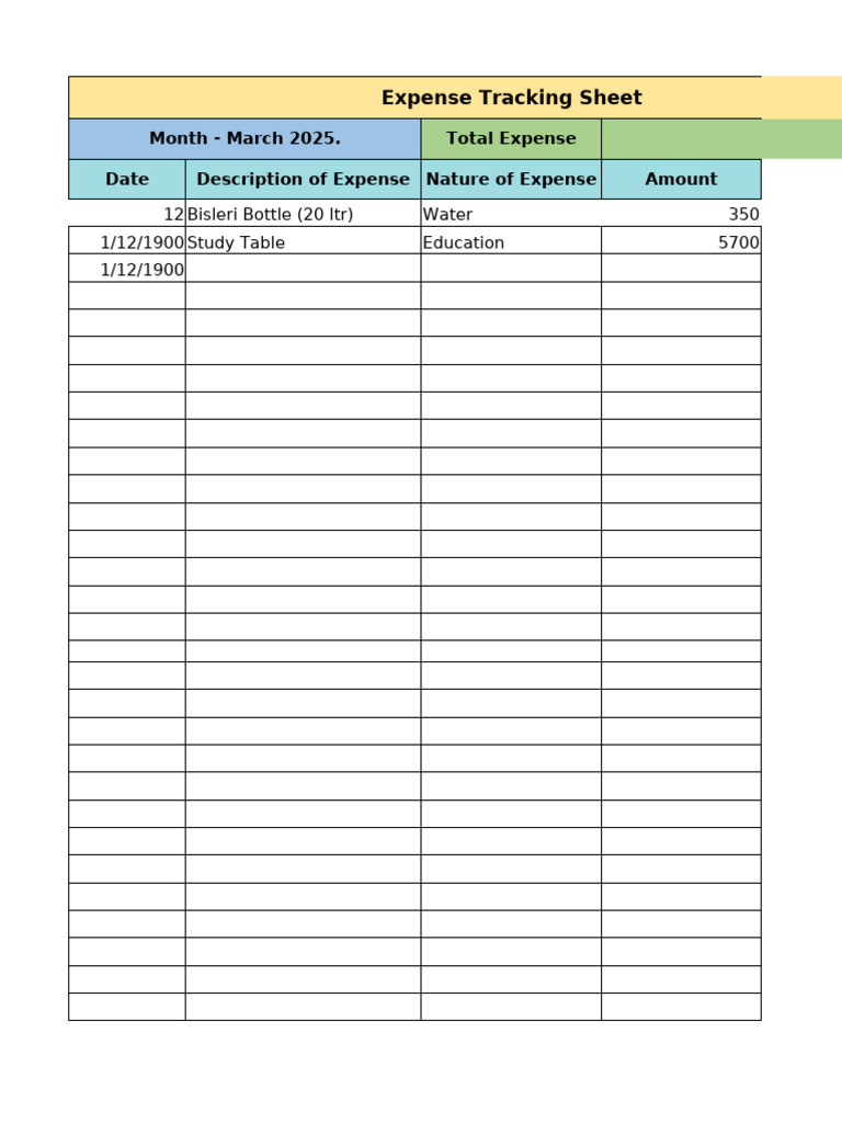 March 2025 Expense Summary | PDF