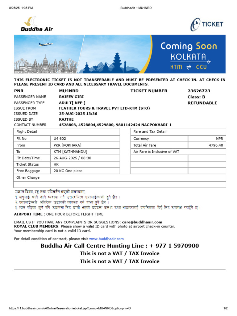 Non-Transferable Flight Ticket Details | PDF