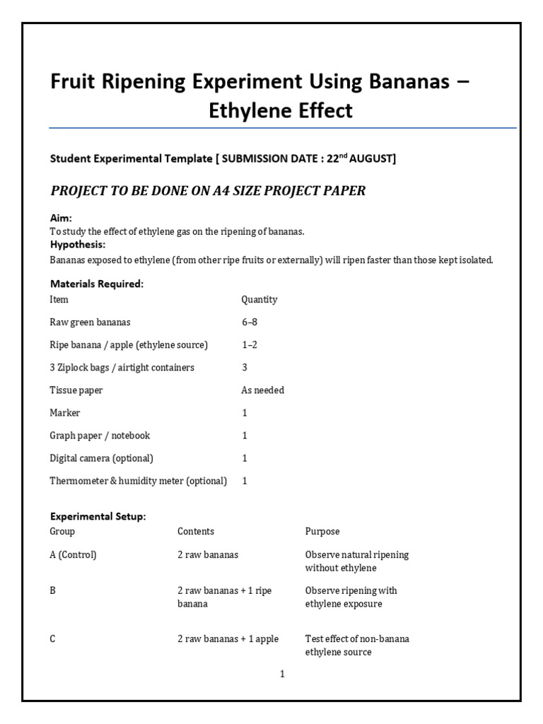 Ethylene's Impact on Banana Ripening | PDF | Banana | Fruit