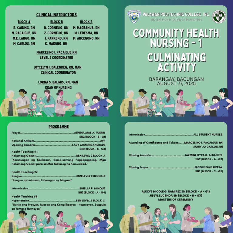CHN Culminating Activity | PDF