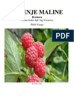 Brosura-Gajenje Maline.