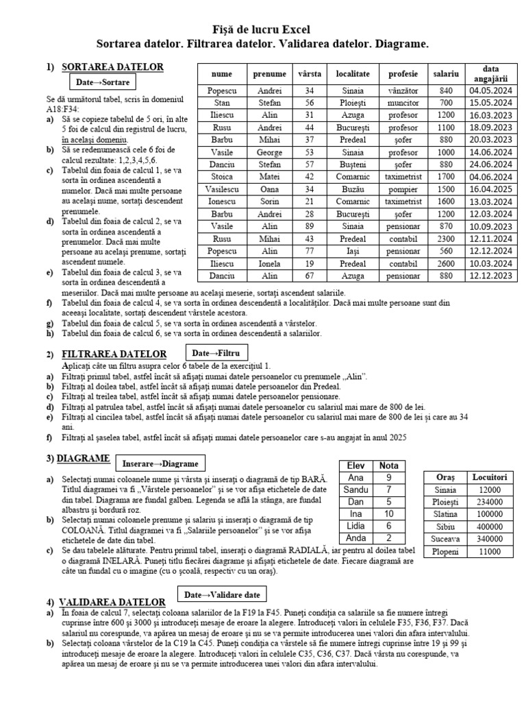 1 Excel Sortare Filtrare Validare Diagrame | PDF