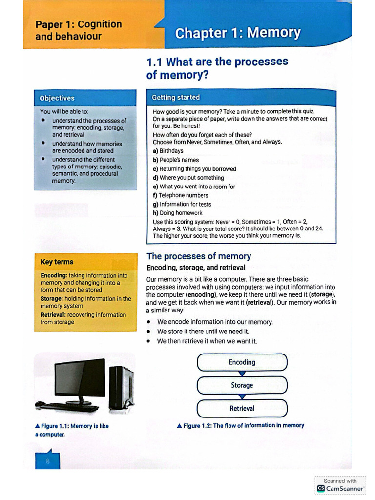 Memory | PDF