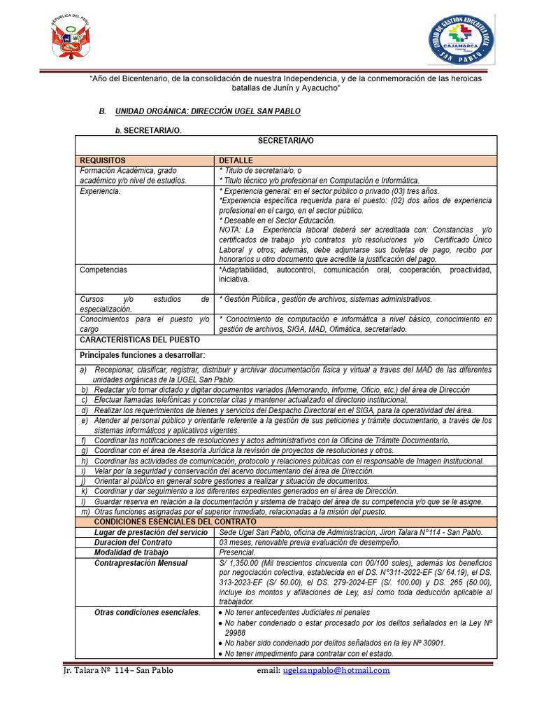 PERFIL_04_2025 | PDF | Informática