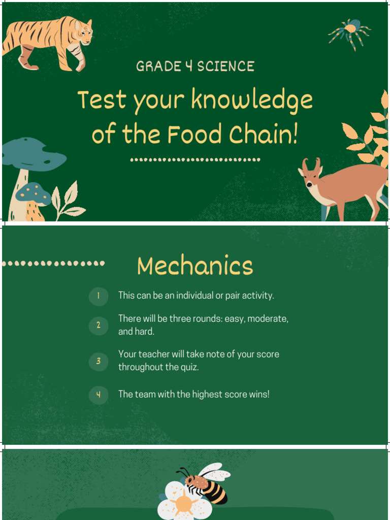 Food Chain Quiz Presentation in Dark Green Light Brown Hand Drawn Style ...
