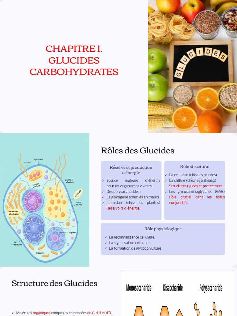 Rôle et Structure des Glucides | PDF | Glucide | Glucose