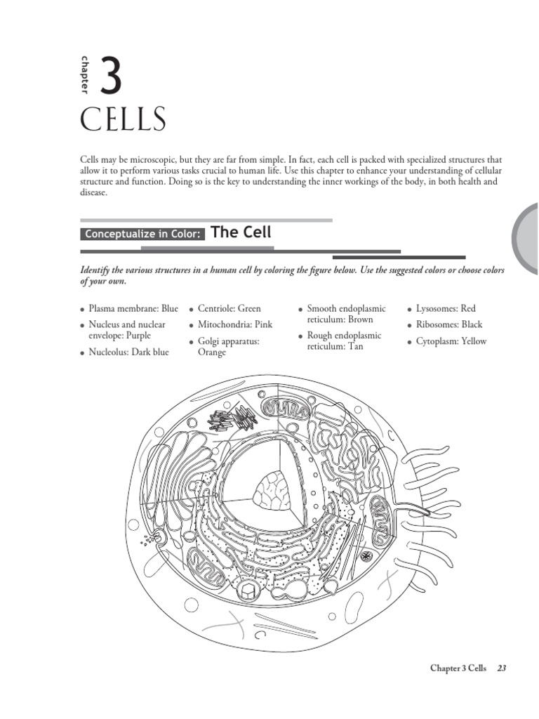 Inbound 5149682116968375312 | PDF | Translation (Biology) | Messenger Rna