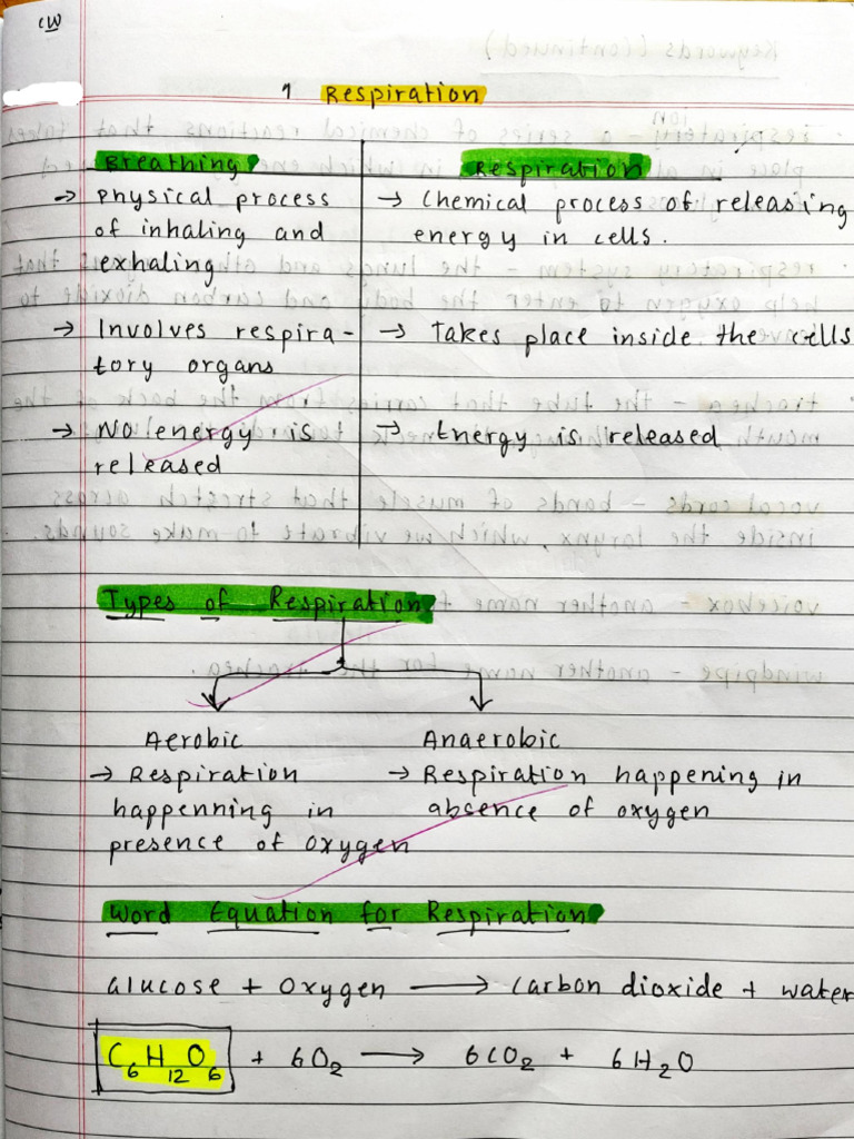 Bio Unit 1 Exemplary Notes | PDF