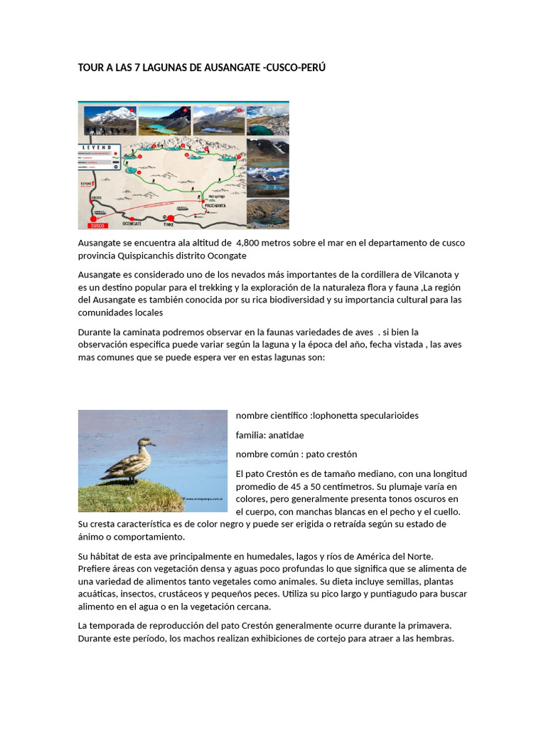 Trekking en las 7 Lagunas de Ausangate | PDF | Aves | Ornitología