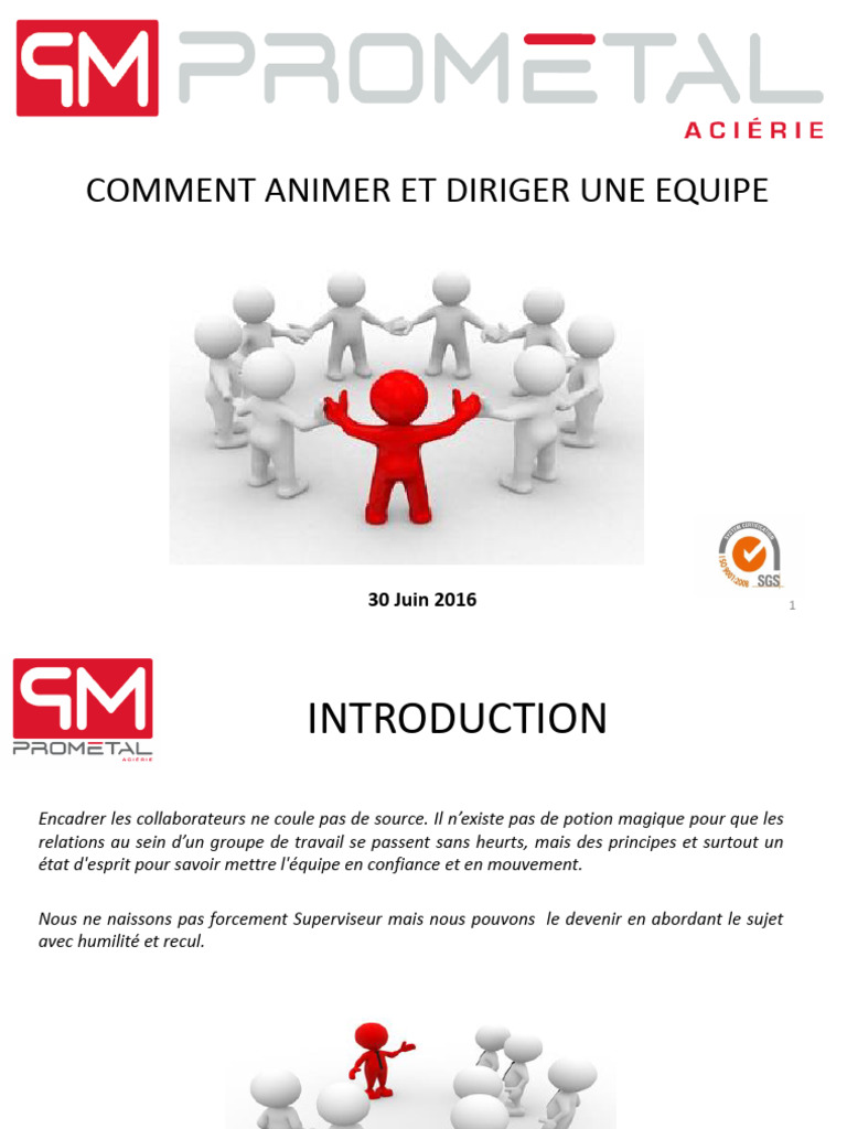 Animer et Diriger une Équipe Efficacement | PDF