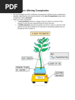 Transpiration Rate Experiment with Potometer | PDF