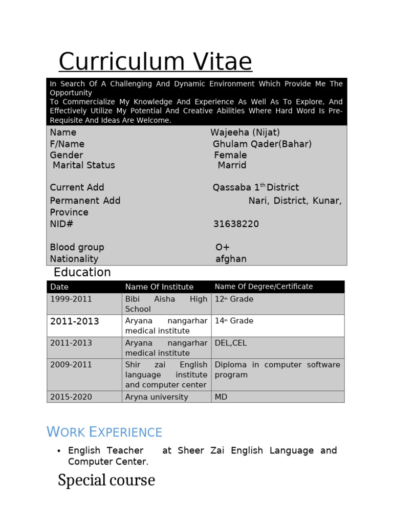 CV1 095431 | PDF | Human Communication | Learning
