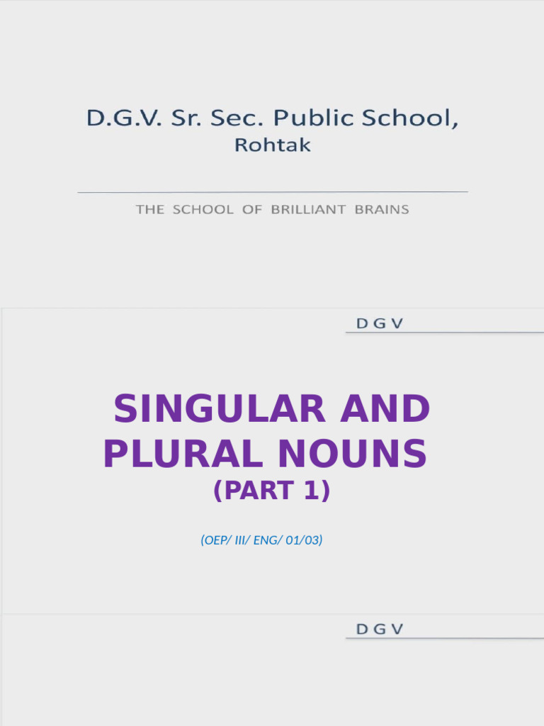 Singular and Plural Nouns Guide | PDF