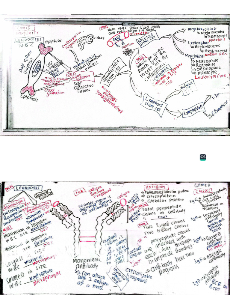 Immunity Chapter | PDF