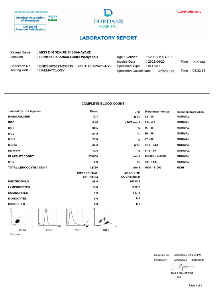 Complete Blood Count Report for Patient | PDF | White Blood Cell ...