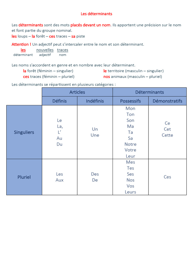 Les déterminants en CM2 | PDF | Genre grammatical | Lexicologie