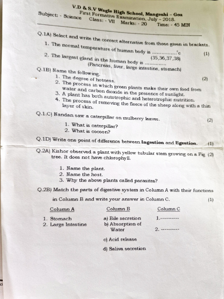 VII STD Science Papers | PDF