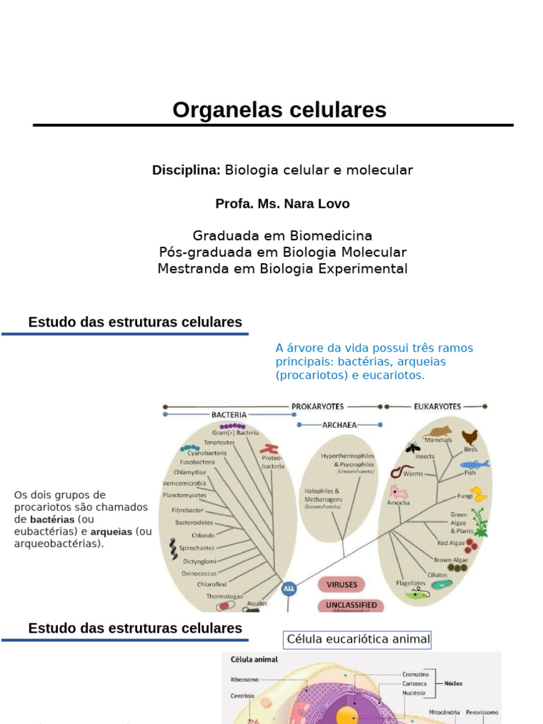 Estruturas e Funções das Organelas Celulares | PDF | Célula (Biologia ...