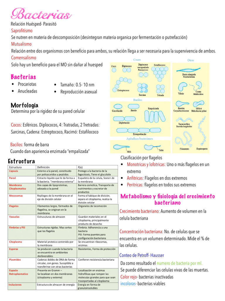 Relaciones y características de bacterias y virus | PDF | Virus | Las ...