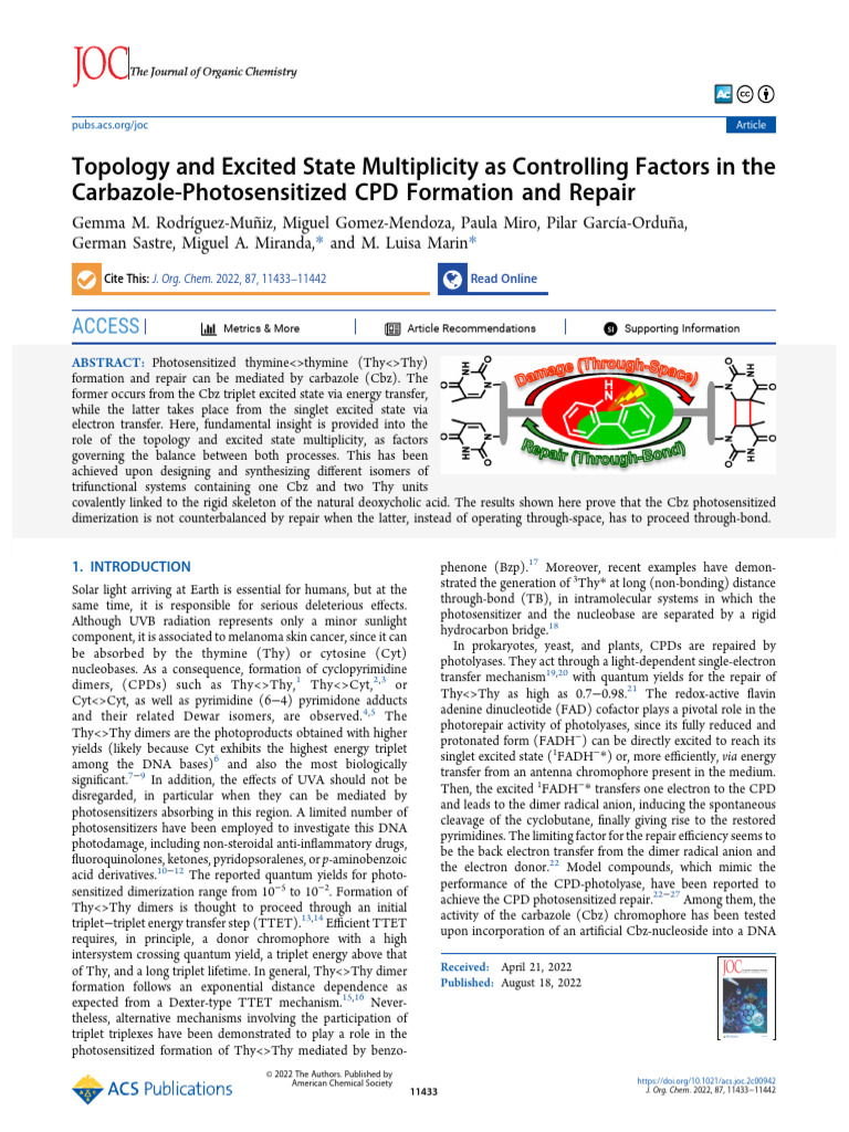 Topology and Excited State Multiplicity As Controlling Factors in The ...
