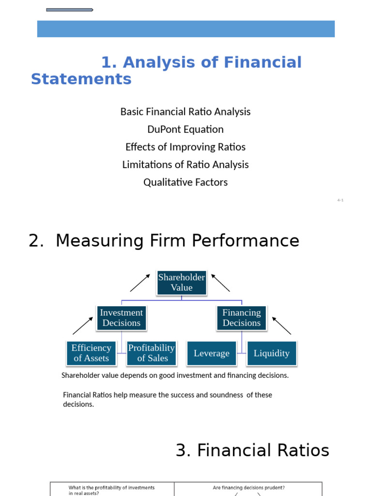 Financial Ratio Analysis and Performance Evaluation | PDF | Equity ...