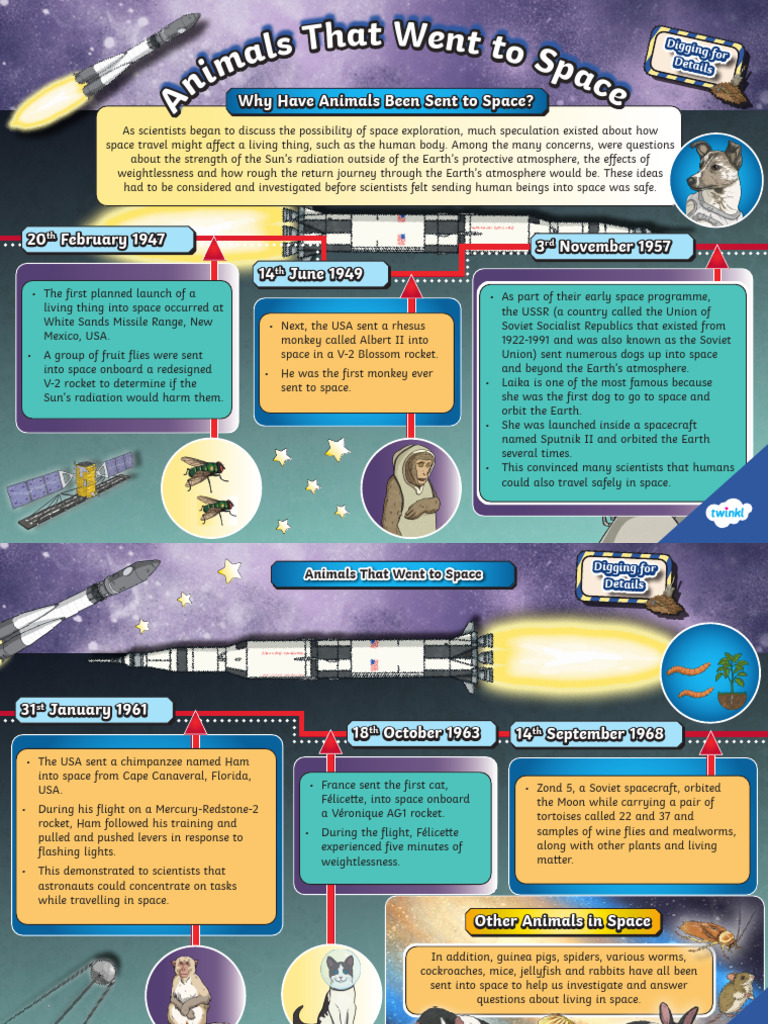 T e 1692190218 Uks2 Digging For Details Animals in Space Infographic ...