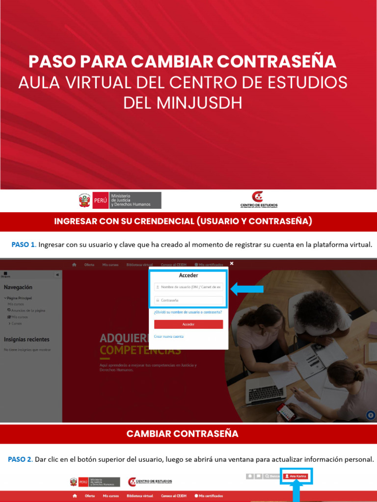 Guia para Cambiar Contraseña | PDF
