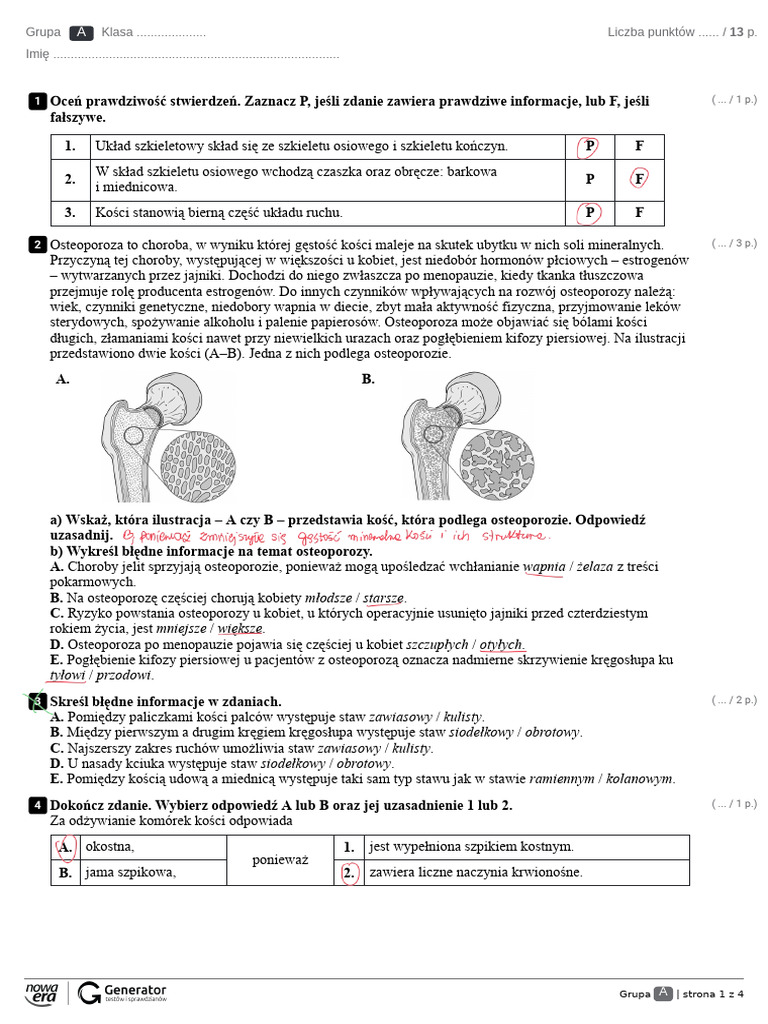 Test R3. Układ Ruchu w2 Test - Ekowydruk | PDF