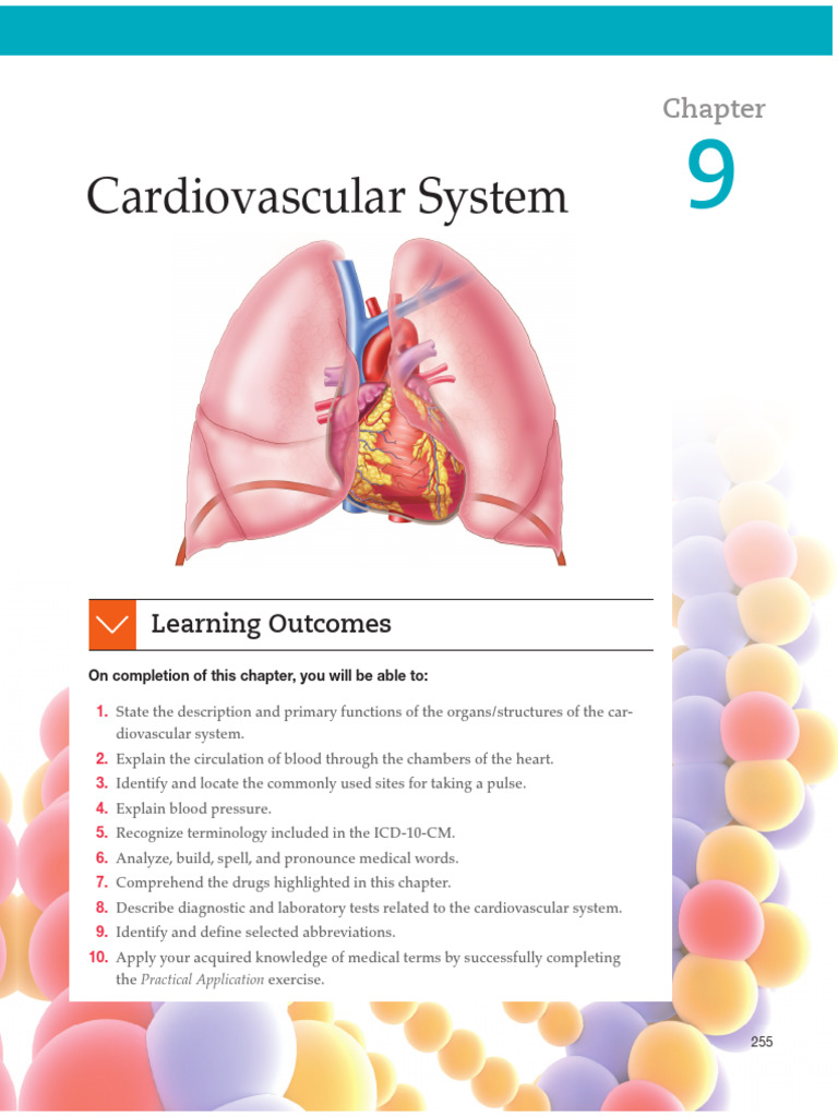 Cardiovascular System Overview | PDF | Heart Valve | Coronary Circulation