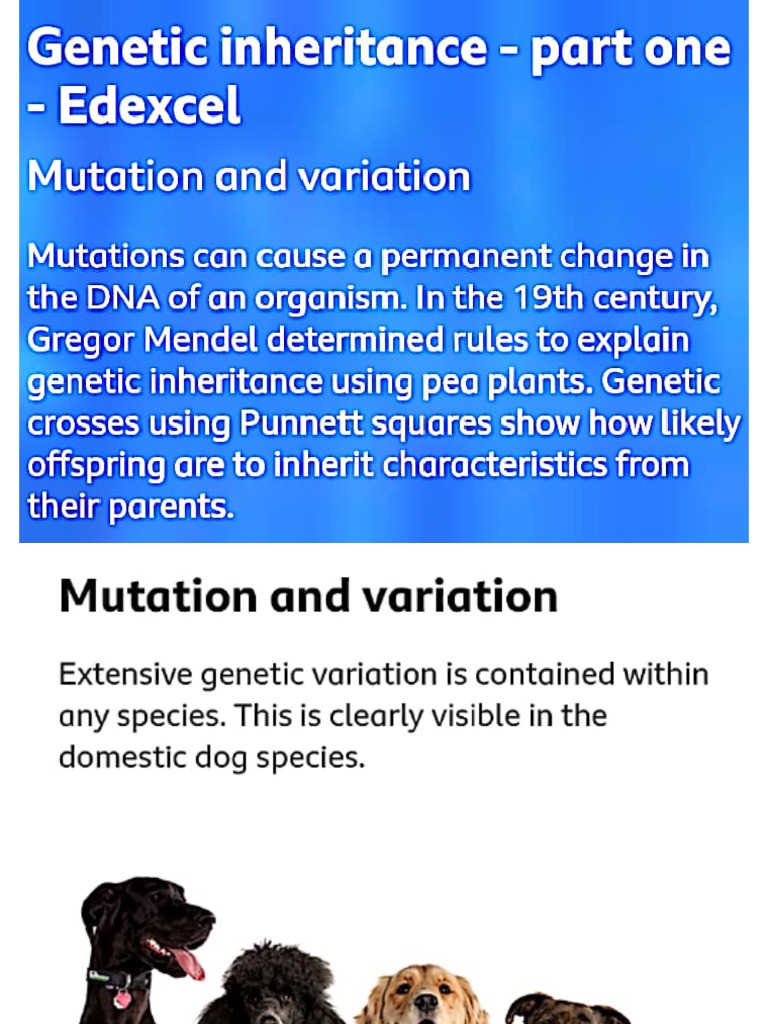 Genetics (II) | PDF