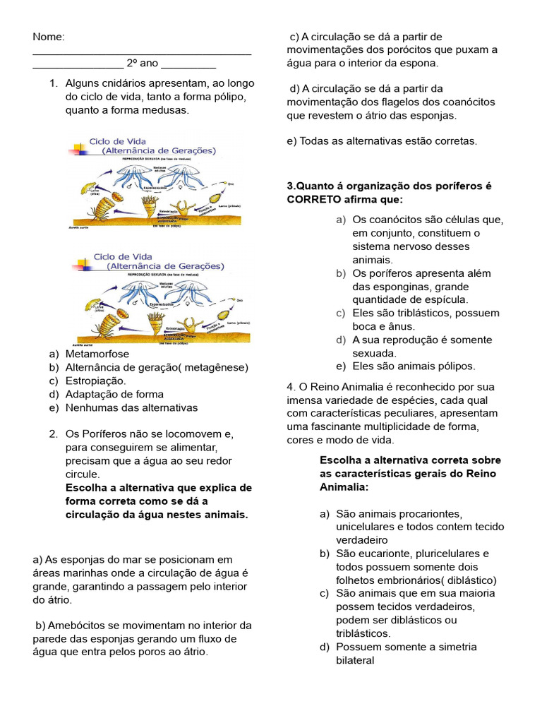 Questões sobre Cnidários e Poríferos | PDF | Esponja | Sistema nervoso