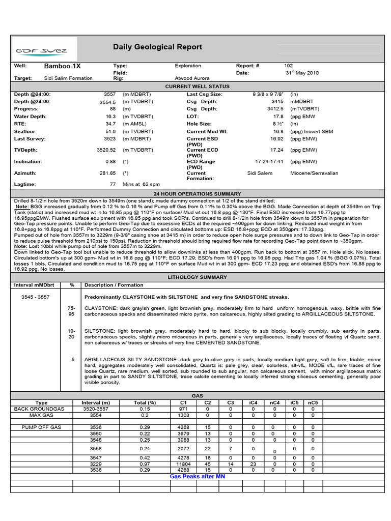 Bamboo-1X Daily Geological Report | PDF | Petrology | Natural Materials