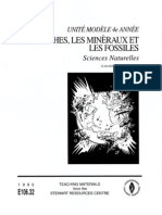 Roches Mineraux Fossiles