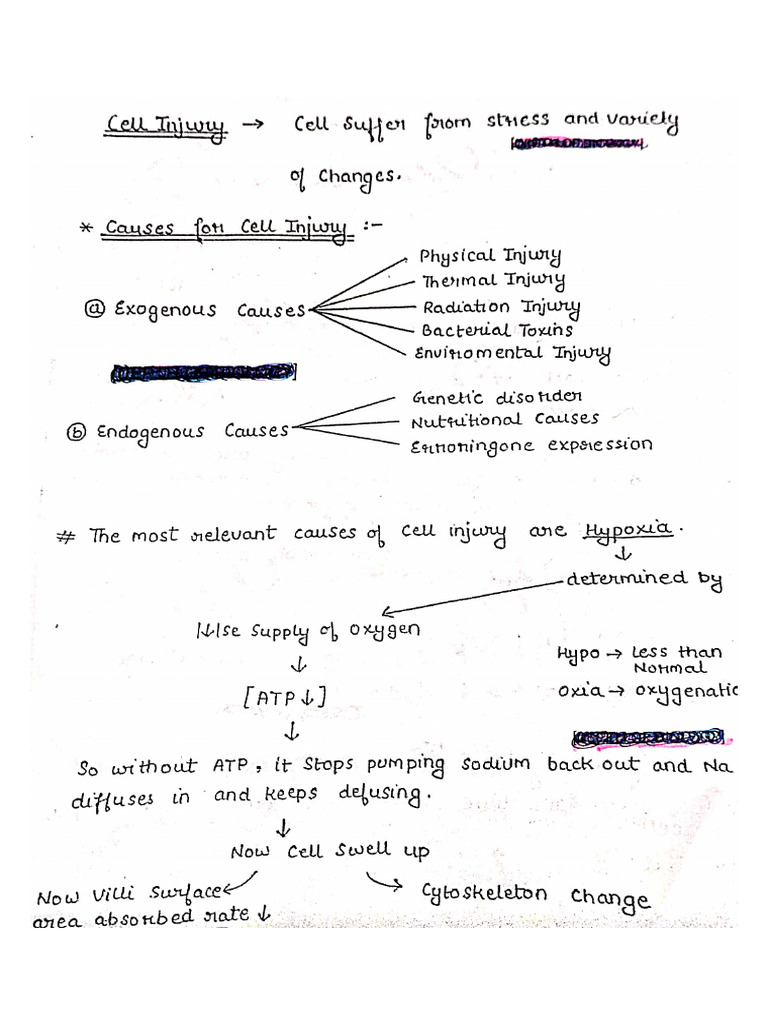 Pathophysiology Unit 1 | PDF