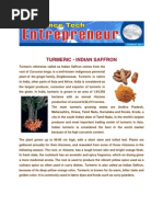 Download Turmeric by skin1900 SN91059926 doc pdf