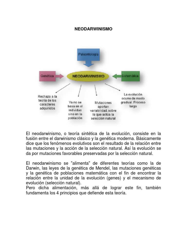 Evolución y Neodarwinismo | PDF | Seleccion natural | Evolución
