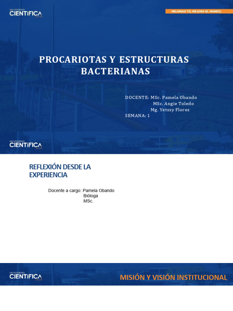 Estructuras de Procariotas en Microbiología | PDF | Las bacterias ...