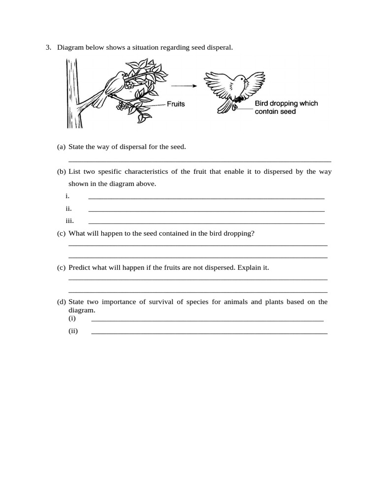 Question Seed Dispersal | PDF