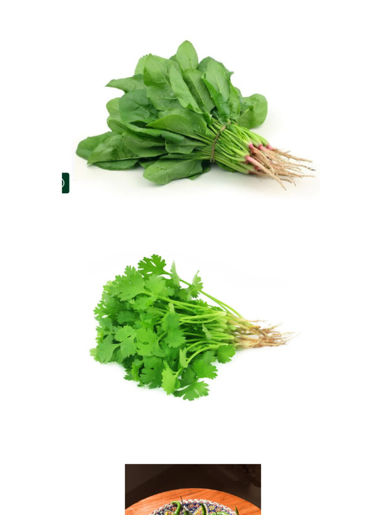 Vegetables | PDF