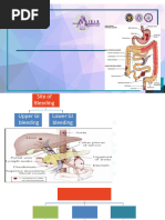 Forrest Classification of GI Bleeding | PDF