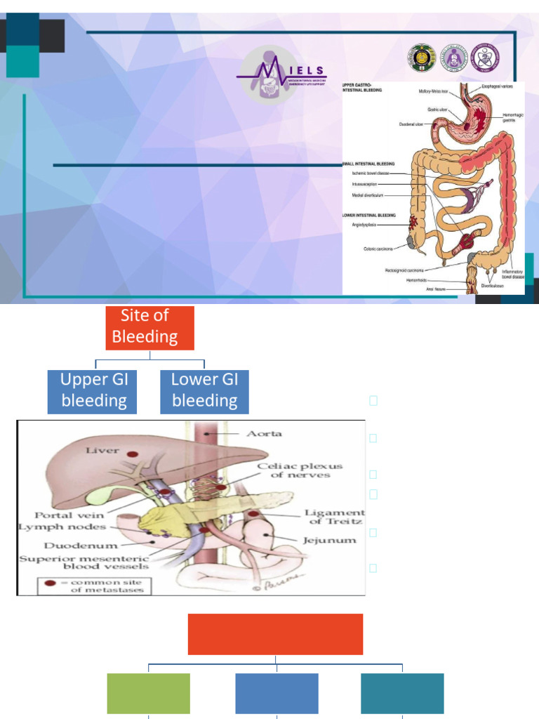 Management of GI Hemorrhage | PDF | Medical Specialties | Digestive System
