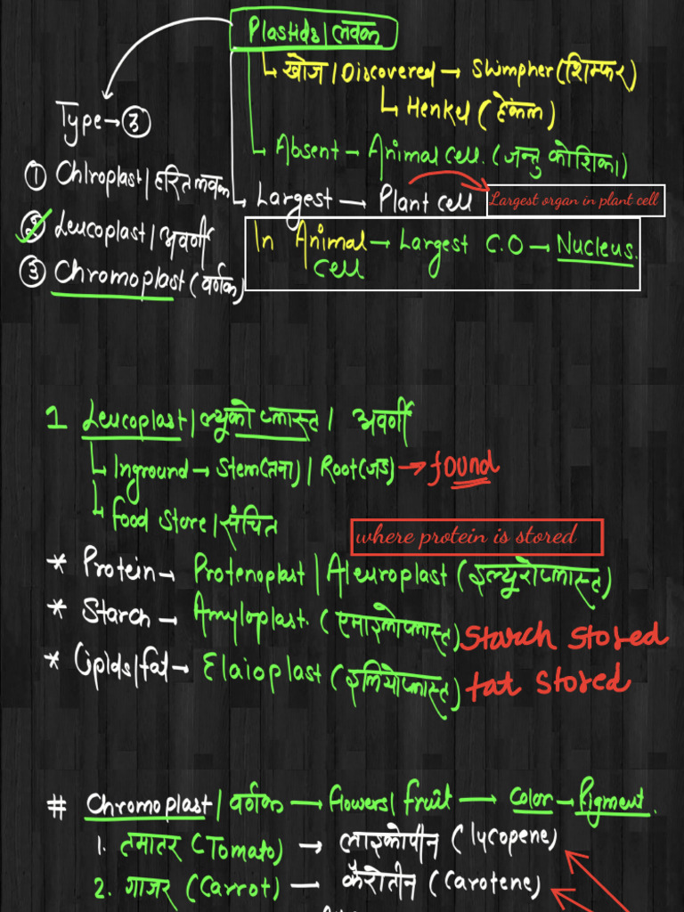 Cell - 4 4th Class Notes of Chapter by Lalit Sir | PDF