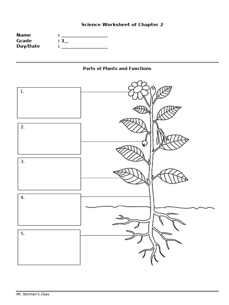 Worksheet of Chapter 2 and The Answer Key | PDF