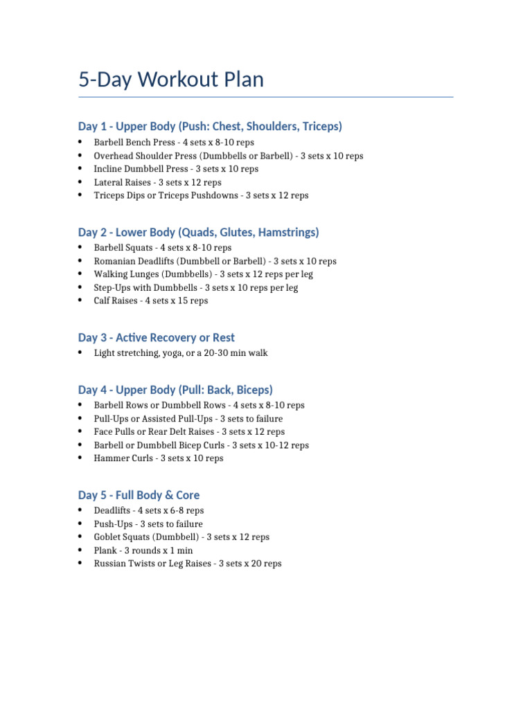 5 Day Workout Plan | PDF