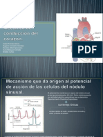 Mecánica de Conducción Del Corazón