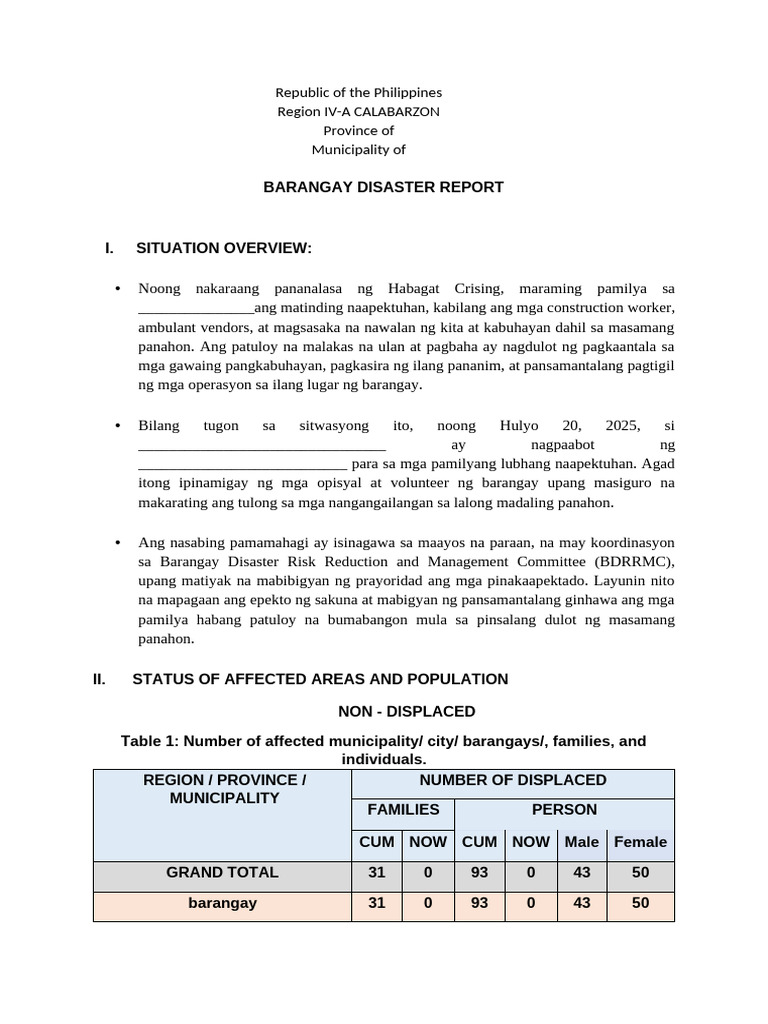 Disaster Report | PDF