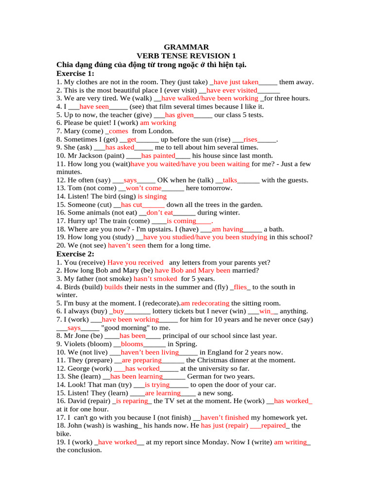 Verb Tense Exercises and Revision | PDF