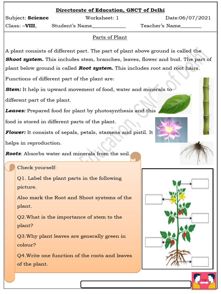 Worksheet 01 Dated 06072021 | PDF